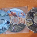 3 DVD Hunting With English Setter Like New With Subtitles