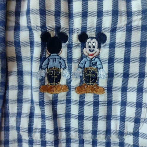 Walt Disney Donaldson shirt