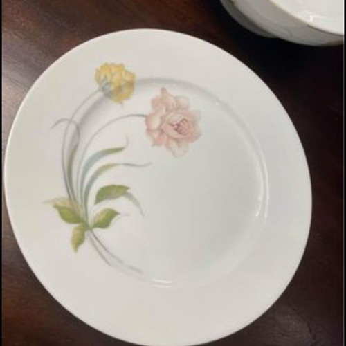 Rosenthal dish set used, 24 shallow, 12 deep, 12 fruit, 12 dessert plates