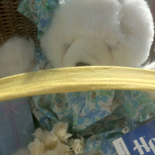 HRA Baptism Gift Basket with Teddy Bear New