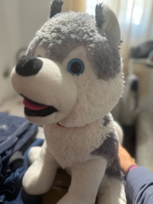 Plush husky large, like new