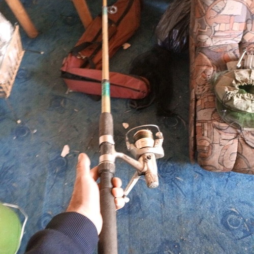 Fishing rod with reel used for fishing