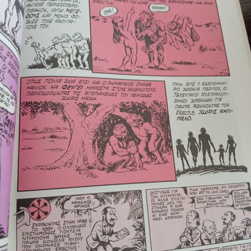 The History of the World in Comics Volume 2 Wood and Stones like new