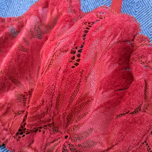 Savage X Fenty Red Velvet bra new, red