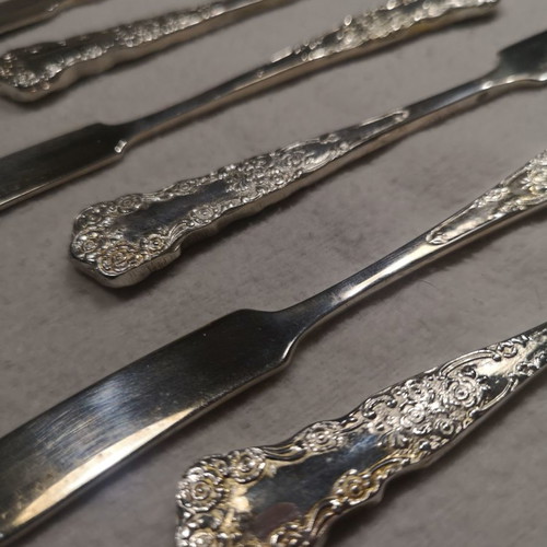 Silver-plated dessert spoon set used with case