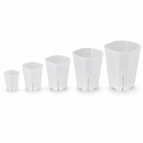 Transparent hard flowerpot in 5 sizes XL 15cm new