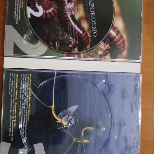 Life in the Undergrowth 2 DVD David Attenborough documentary