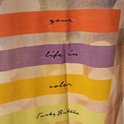Funky Buddha short-sleeve cotton t-shirt used, with print