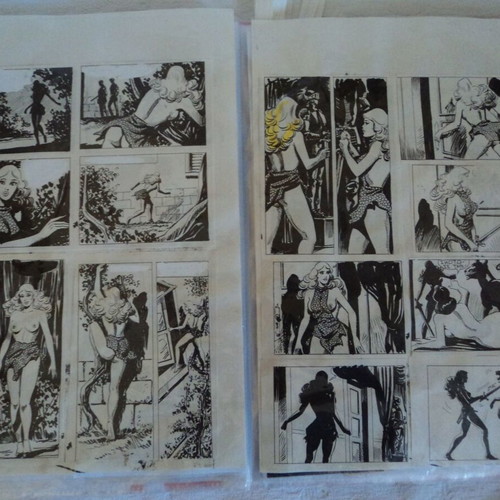 Tarzan collection of about 100 used illustrated clippings and stories