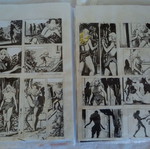 Tarzan collection of about 100 used illustrated clippings and stories