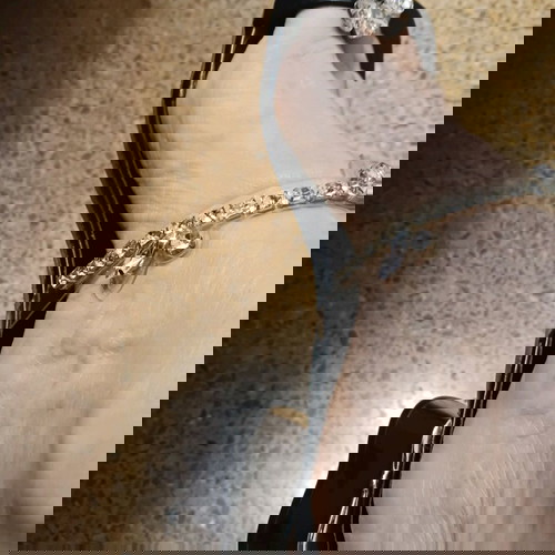 πέδιλα