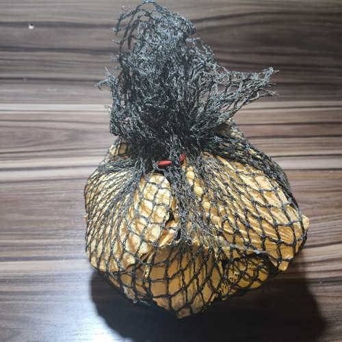 Large natural decorative seashells set with net