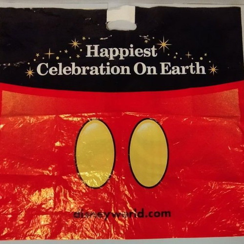 Vintage Walt Disney World Resort plastic bag 2000 used