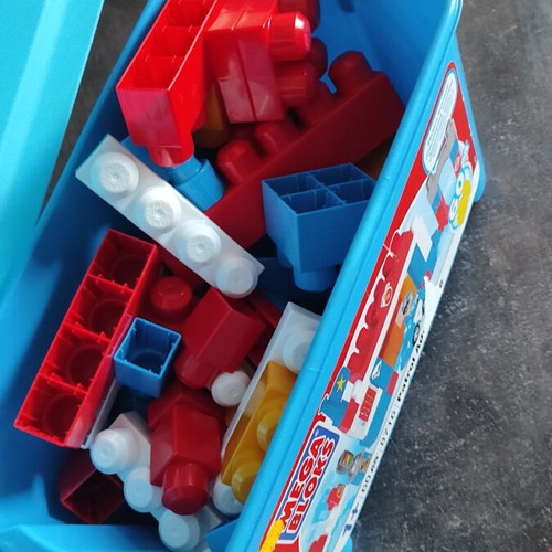Mega Bloks used large building blocks for unlimited play