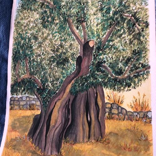 Olive tree watercolours painting new, decoration or gift