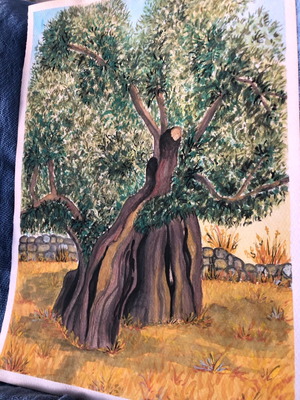 Olive tree watercolours painting new, decoration or gift