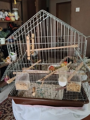 Birdcage for small and medium birds with house-shaped roof and accessories