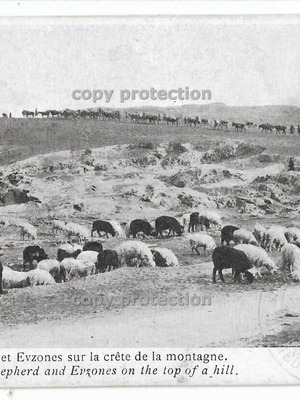 Collectible used postcard Shepherd and Evzones 1910