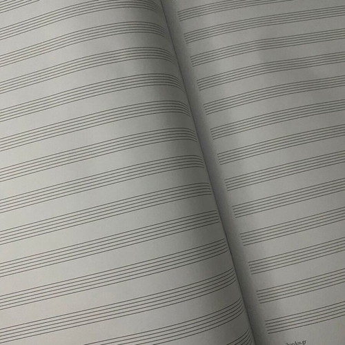 Music Theory Manual used, The Absolutely Essential with 2 Notebooks