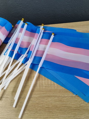 Trans Pride small flags pack of 60, like new