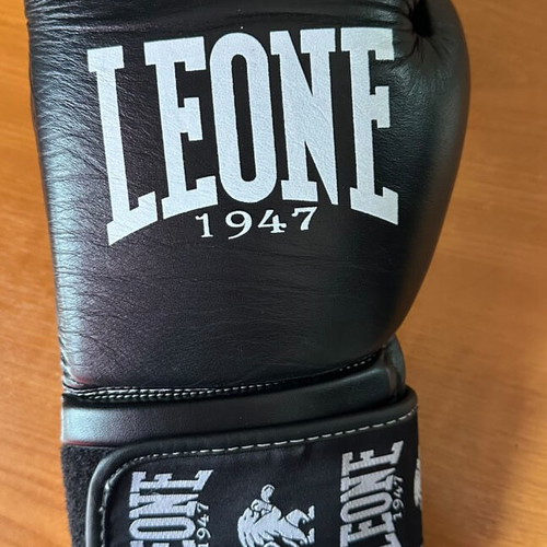 Boxing gloves size 10 new