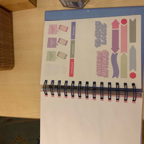 Tiger Agenda Planner like new missing some months and stickers