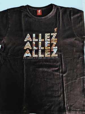 Liverpool F.C. T-shirt used, size L, official Allez Allez Allez design