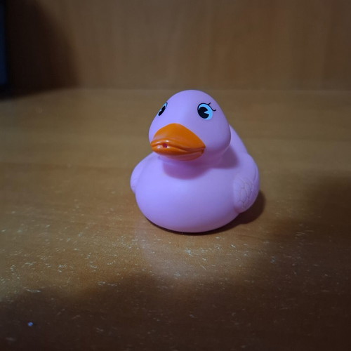 Pink Bath Duck like new, small