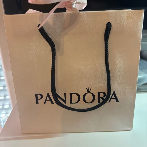 Pandora Paper Gift Bag