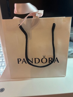 Pandora Paper Gift Bag