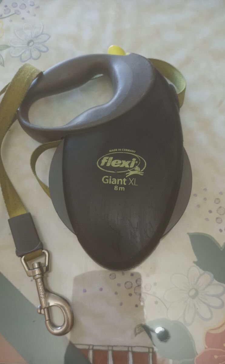 Flexi giant 15m hotsell