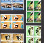 Σετ γραμματοσήμων Woodpecker 1978 μεταχειρισμένο, Κορέα, 5 τεμάχια