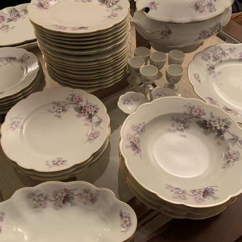 MZ Altrohlaou CM-R porcelain antique dinnerware set used, 55 pieces