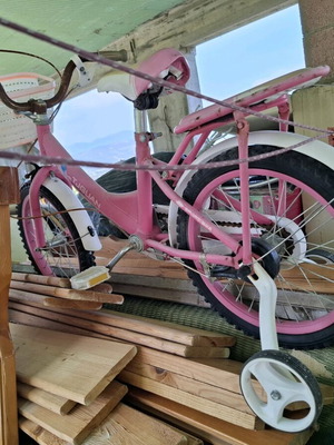 Bicycle like new, women's with coaster and drum brakes