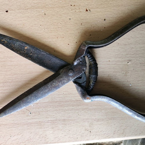 Antique scissors used