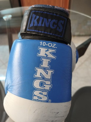 Boxing gloves 10 oz
