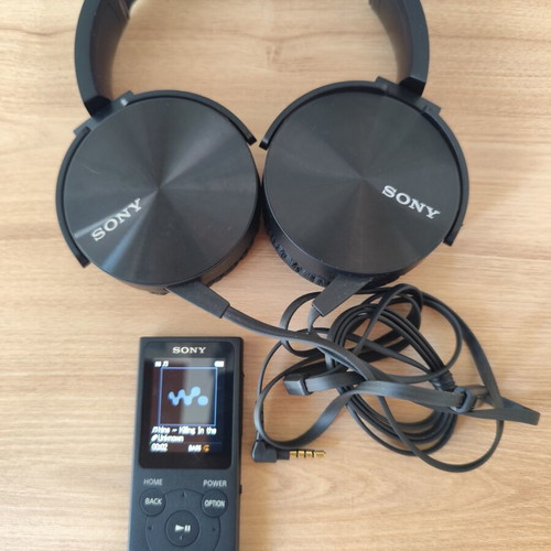 Sony Walkman digital music player NW-E393 like new with headphones
