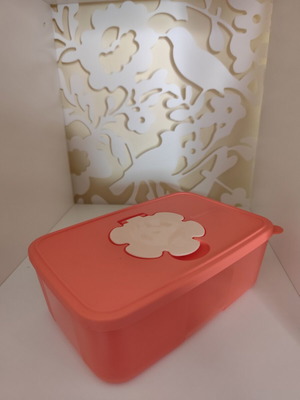 Tupperware Baby Wipes Large Size New