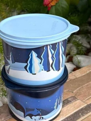 Σετ κανίστρα Tupperware χειμώνας, αεροστεγή και υδατοστεγή, 1.1L