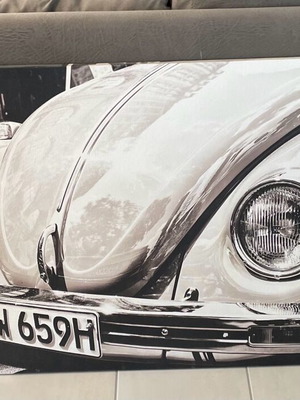 Canvas print Scarab used, black and white 100x75cm