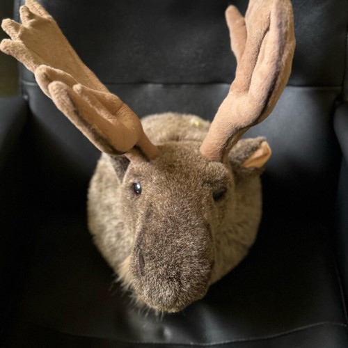 Plush reindeer head decorative like new