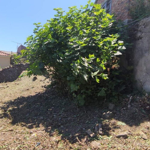 Land 520 sqm buildable plot in Mistegna, Lesvos region