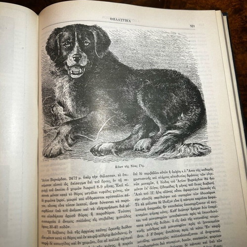 Encyclopedia O Bios ton Zoon like new, 750 pages, Eleftheroudakis