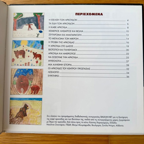 Brown Bear children's book new, hard cover
