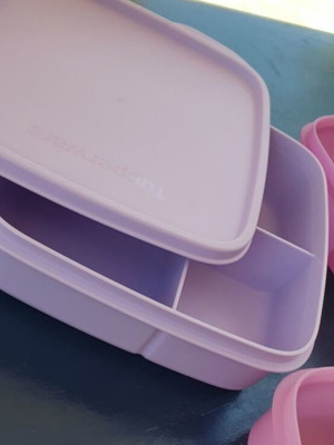 Tupperware δοχείο φαγητού μωβ με χωρίσματα και 4 πιάτα 700 ml