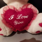 Plush teddy bear with heart