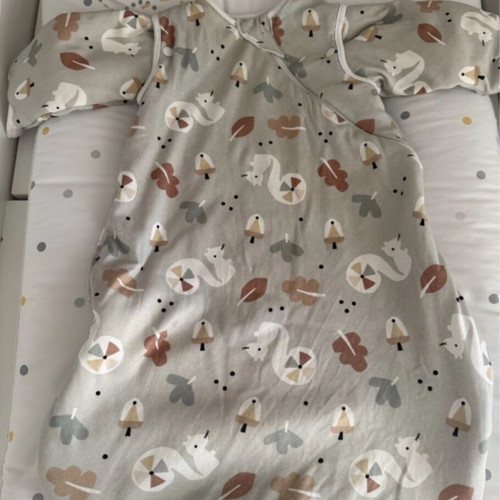 Tender sleeping bag 1tog used, up to 6 months, removable sleeves