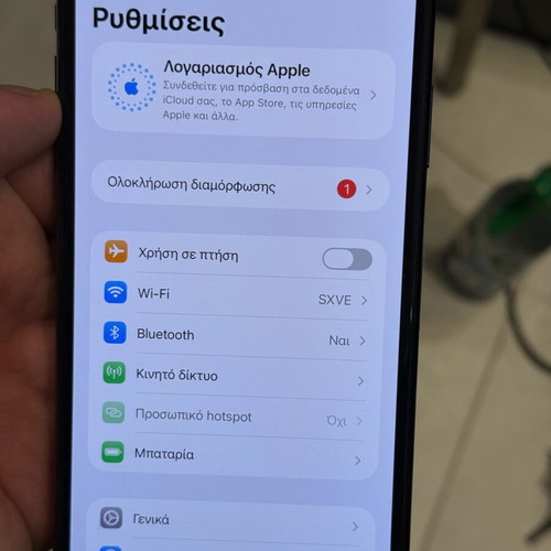 iPhone 11 Pro Max 256GB Mint Green used with Spigen case