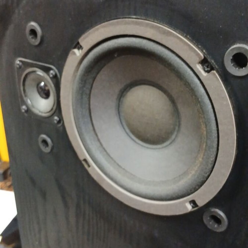 Bose 401 right speaker used with wood damage
