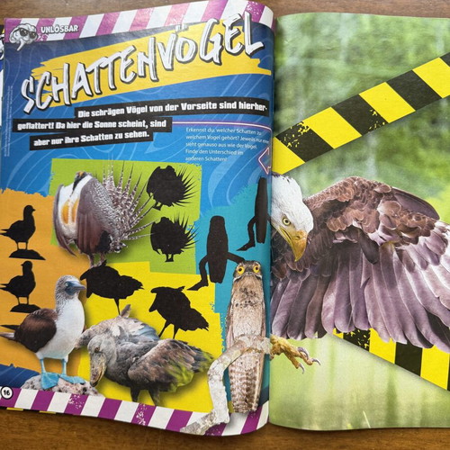 Brain Zone Magazine Number 2 2026 German Edition new